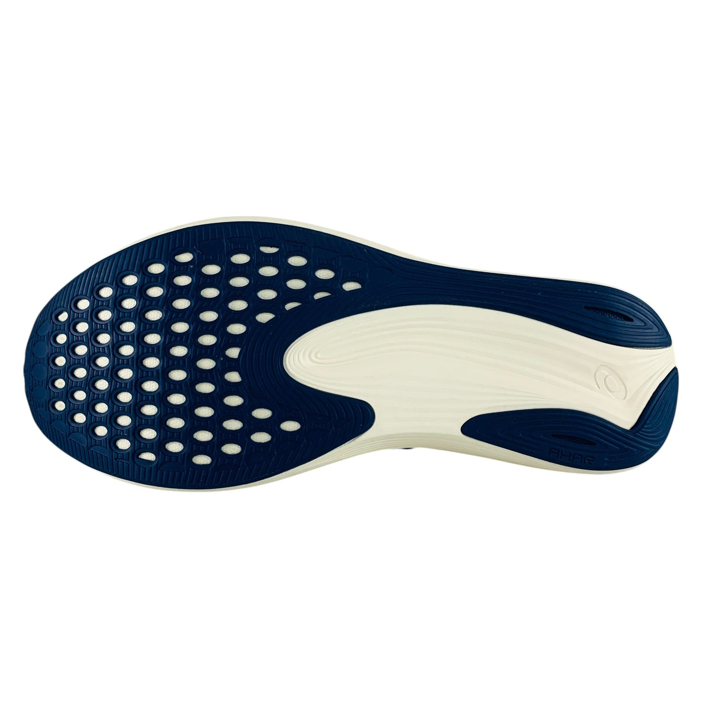 ASICS Evoride Speed 2