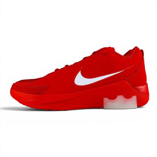 Nike LeBron Witness 9