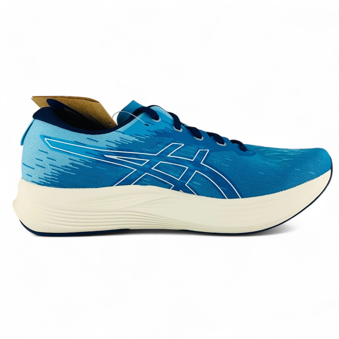 ASICS Evoride Speed 2