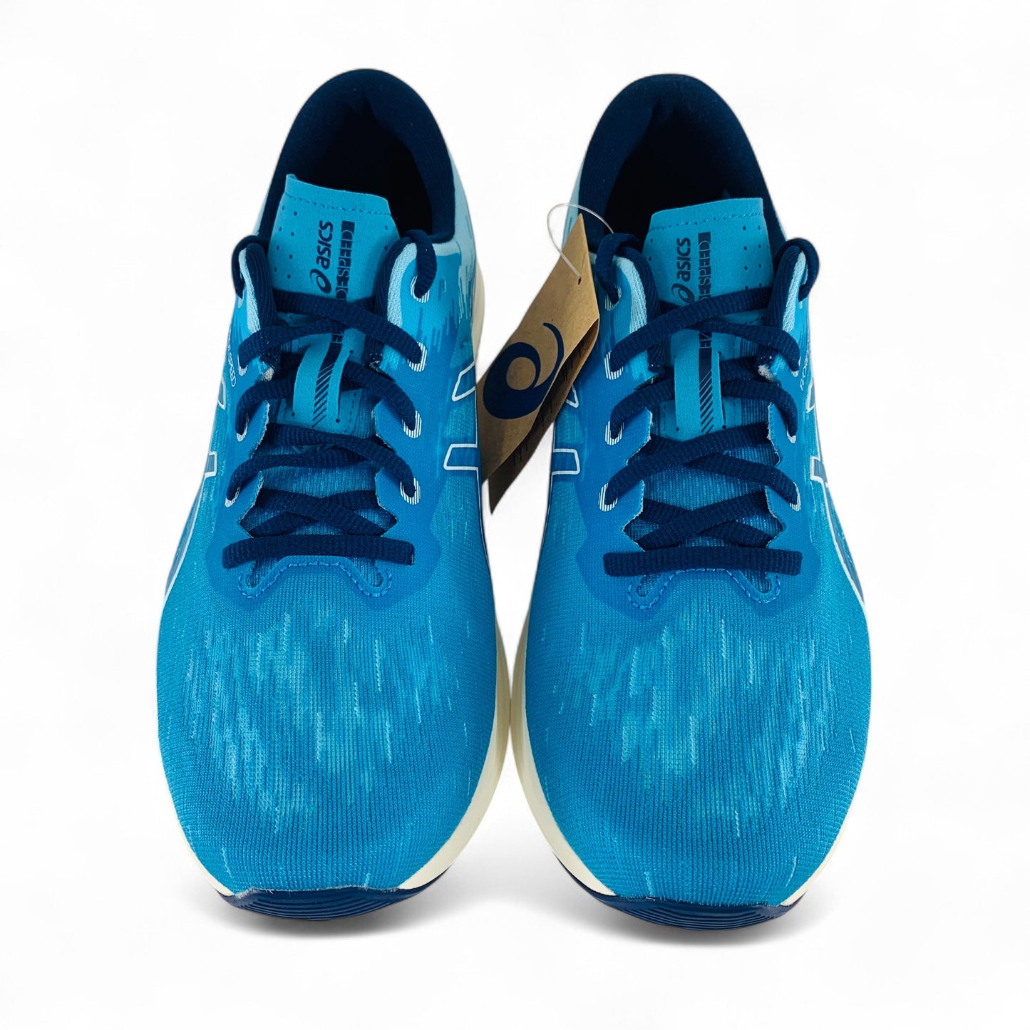 ASICS Evoride Speed 2
