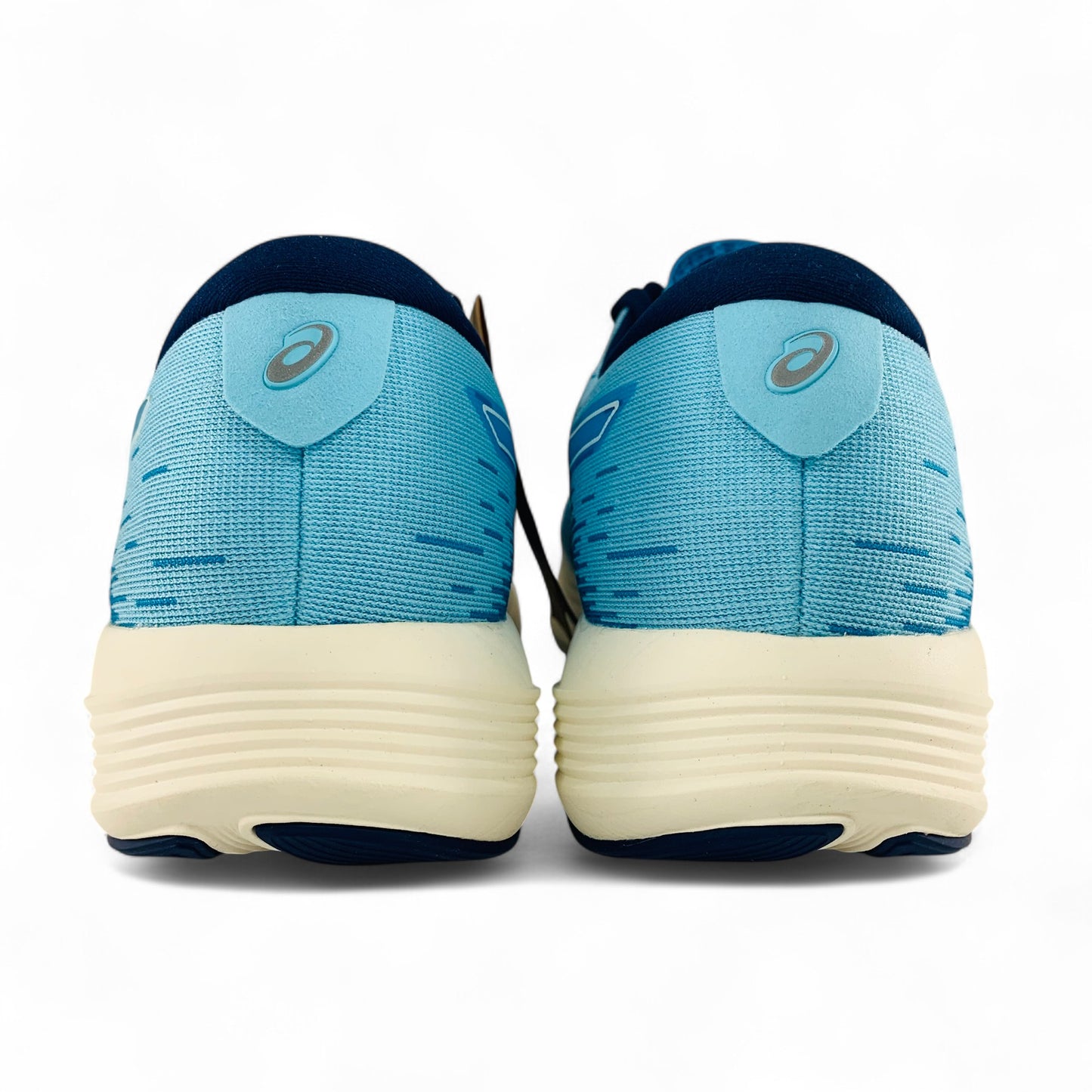 ASICS Evoride Speed 2