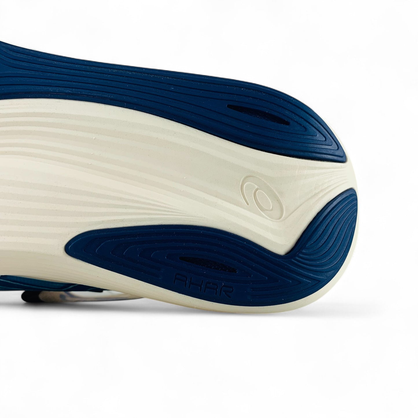 ASICS Evoride Speed 2