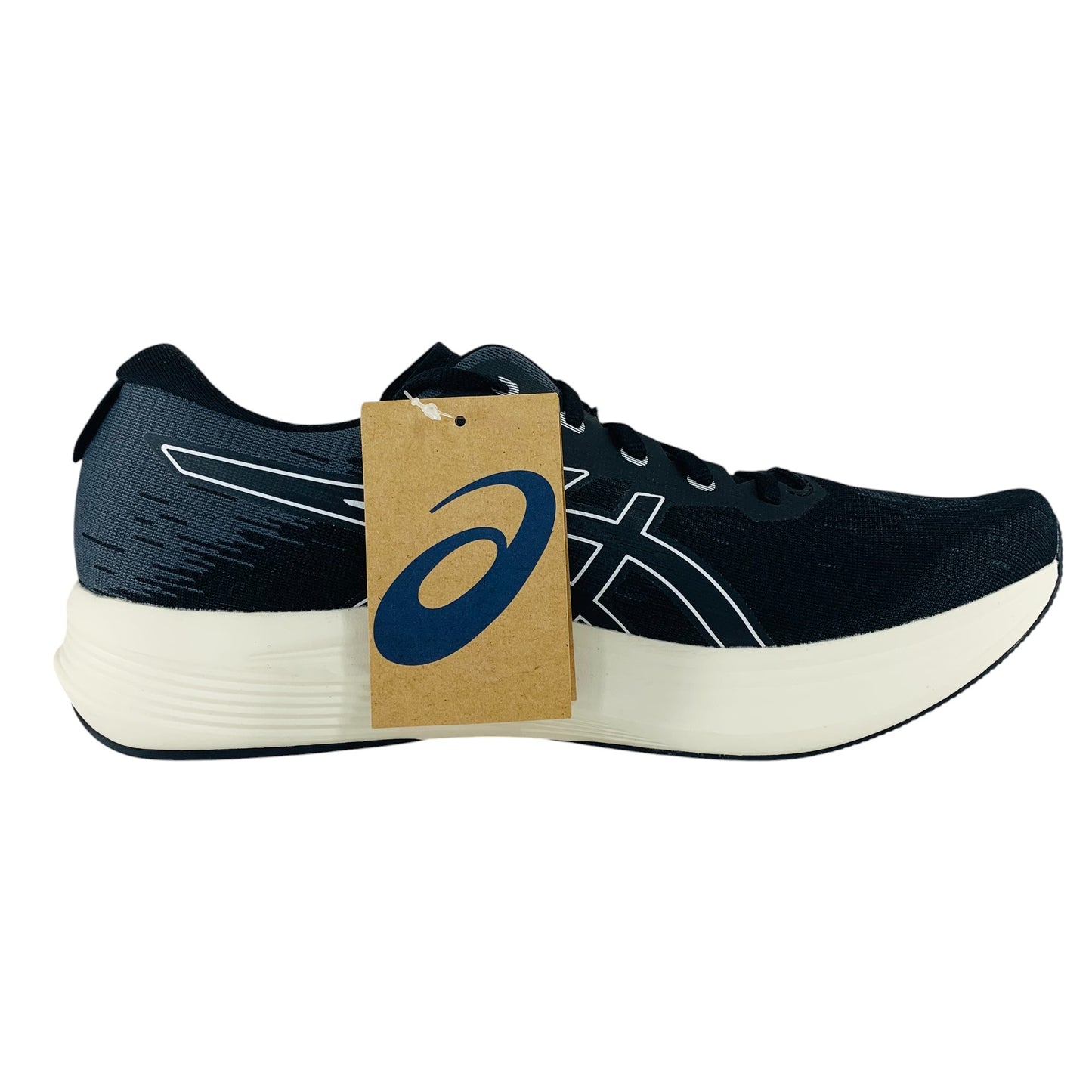 ASICS Evoride Speed 2