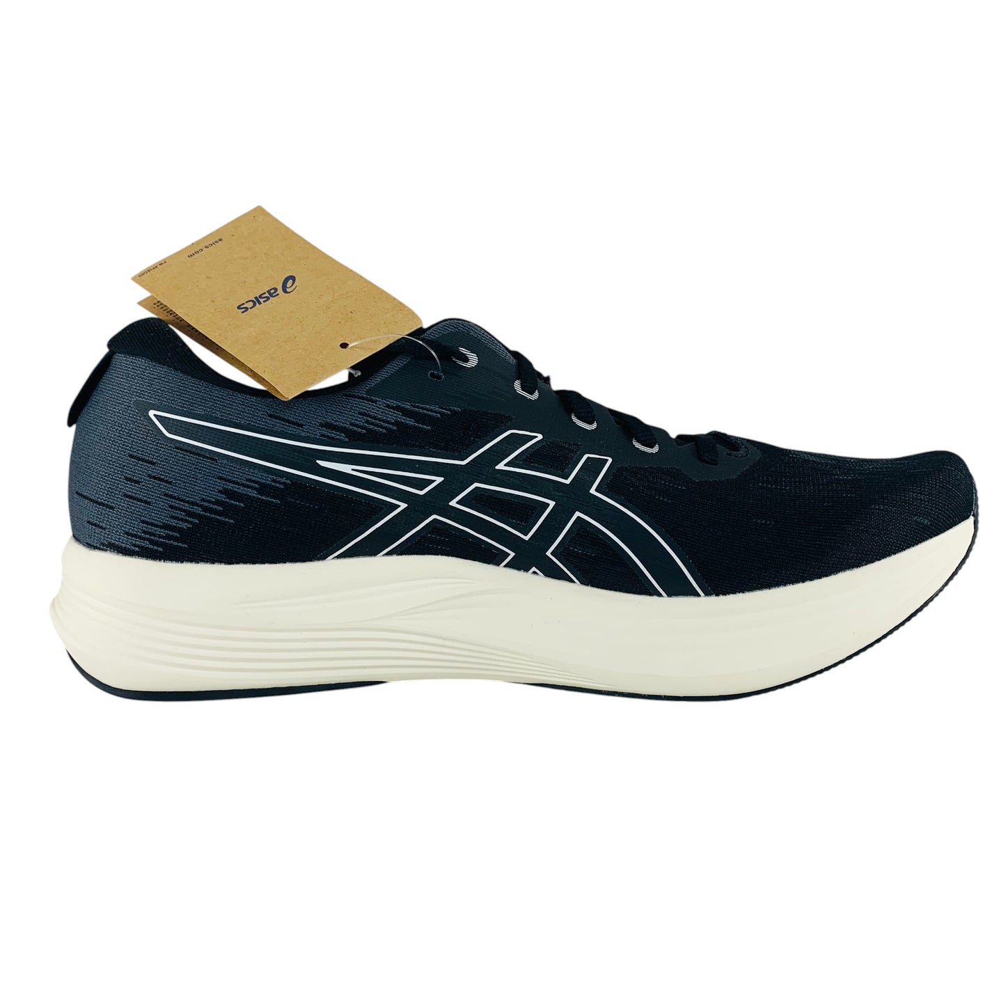 ASICS Evoride Speed 2